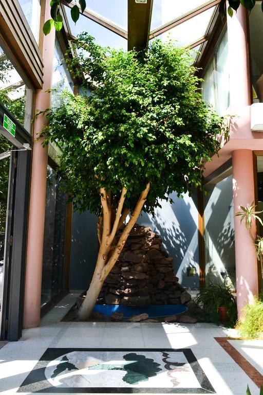 Argenta Apart Hotel Trelew Bagian luar foto